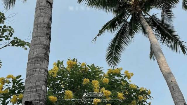 如何设计一份适合初学者的篮球爆发力训练方案?_0